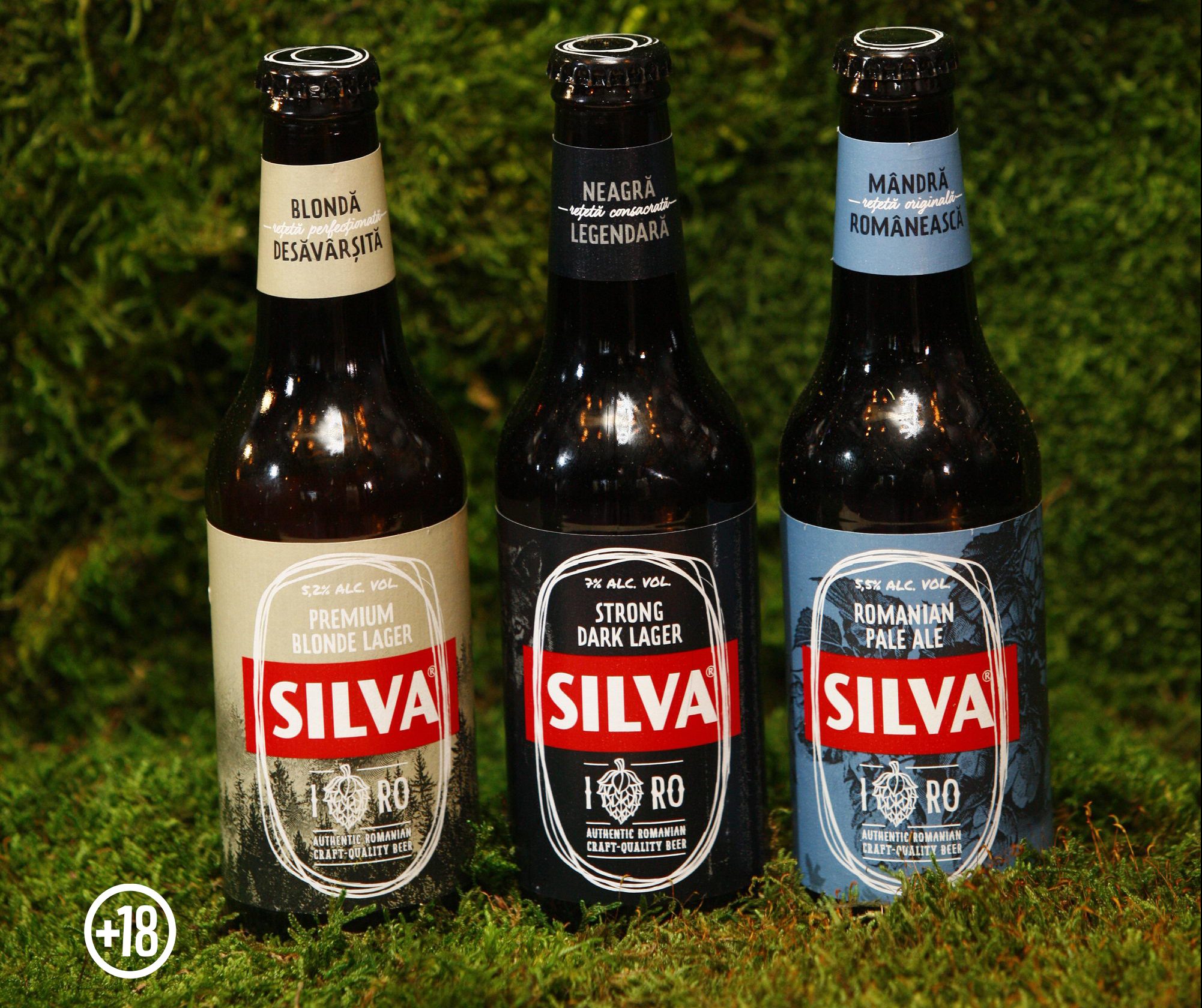 Craft beer – EXPLORING SENSES