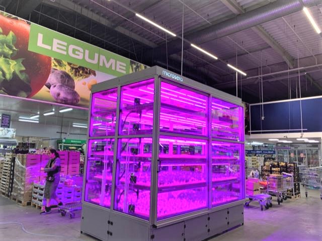 METRO aduce in magazinul din Baneasa o microsera inteligenta