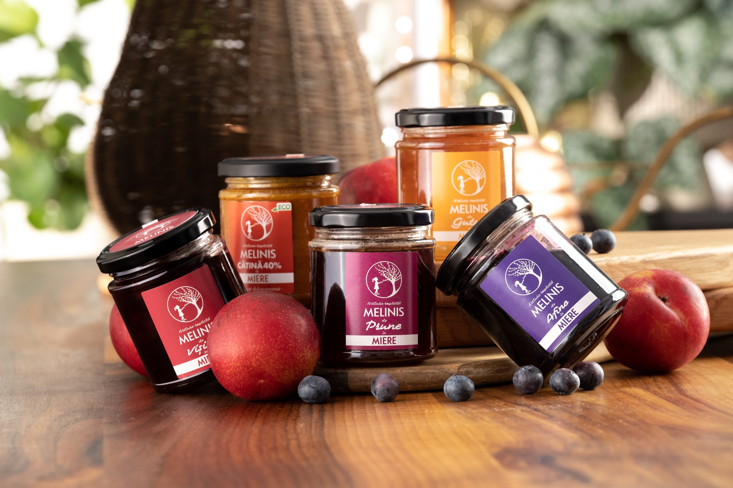 O aventura gastronomica cu fructe crude si miere – Melinis