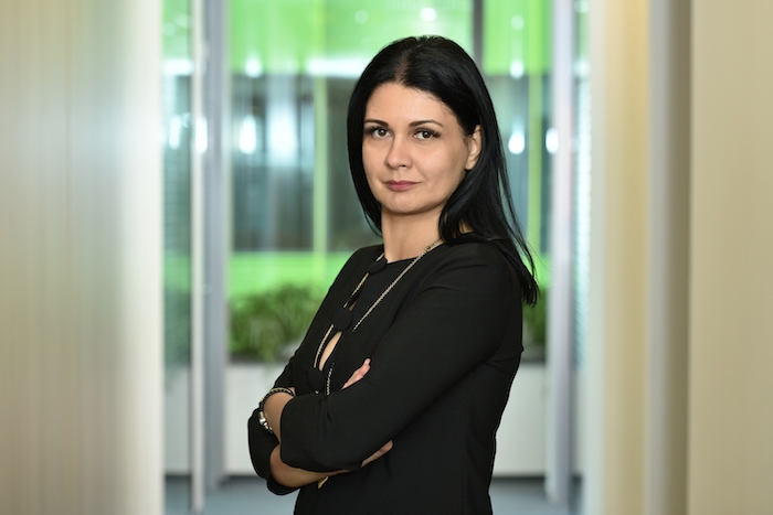 Anca Simionescu este noul Director General al Niro Investment Group