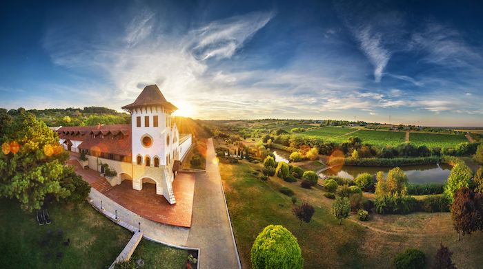 Purcari Winery relansează vinul Freedom Blend sub o nouă etichetă – tribute edition, în semn de susținere a luptei pentru libertate a poporului ucrainean