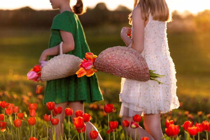 Ungaria cucerește turiștii cu o nouă atracție: grădinile unde îți culegi singur florile devin noul trend pentru români