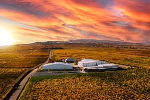 Crama Gîrboiu, desemnată pentru al patrulea an consecutiv „Best Romanian Producer” la Mundus Vini