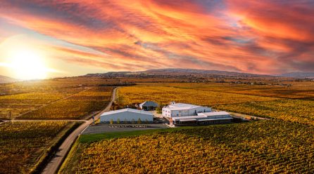 Crama Gîrboiu, desemnată pentru al patrulea an consecutiv „Best Romanian Producer” la Mundus Vini