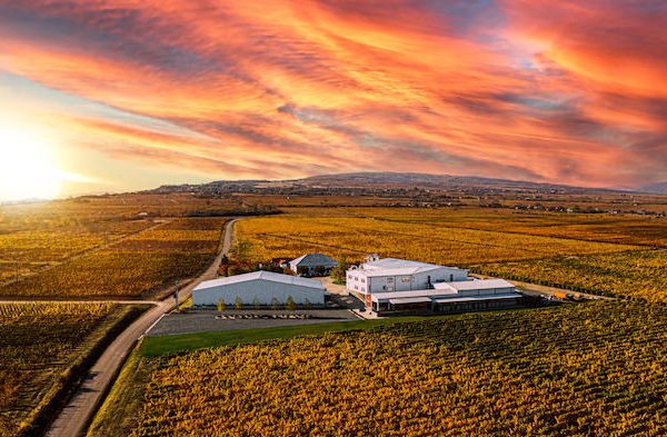 Crama Gîrboiu, desemnată pentru al patrulea an consecutiv „Best Romanian Producer” la Mundus Vini