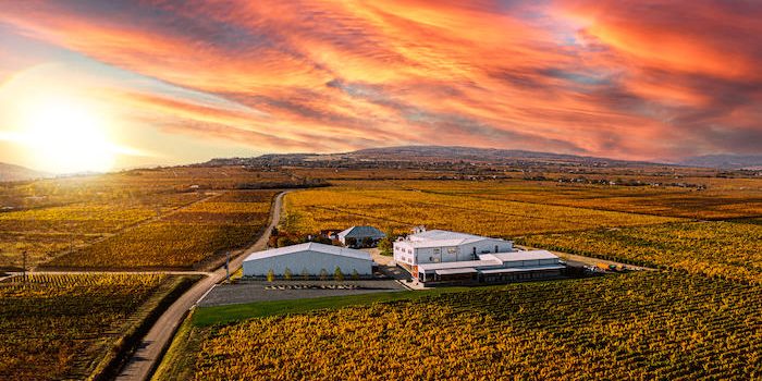 Crama Gîrboiu, desemnată pentru al patrulea an consecutiv „Best Romanian Producer” la Mundus Vini